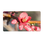 lentesbloem etiket (Voorkant)