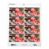 lentesbloem etiket (Full Sheet)