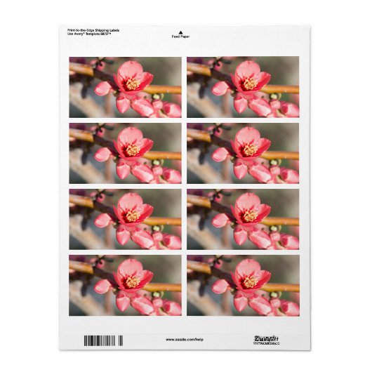 lentesbloem etiket (Full Sheet)