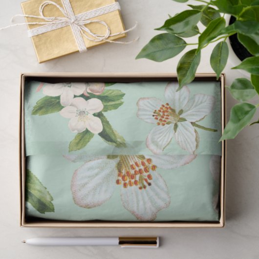  lentesbloem tissuepapier (Geschenk)