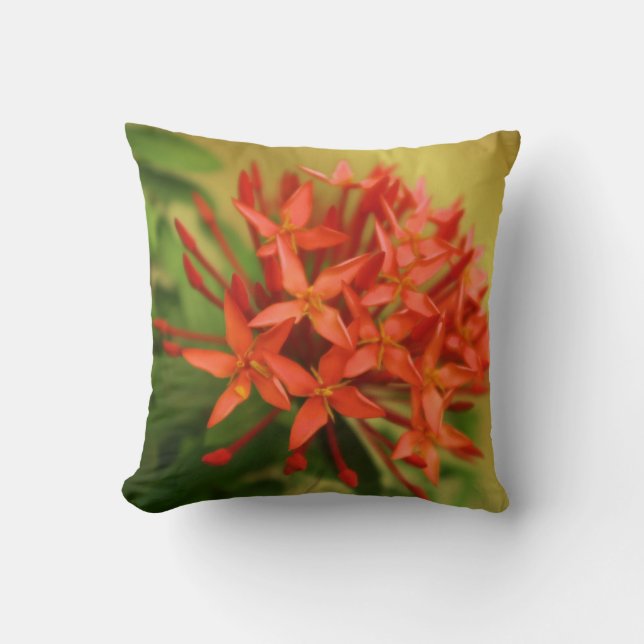 lentesbloemen, easter, spring, natuur, sinaasappel kussen (Voorkant)