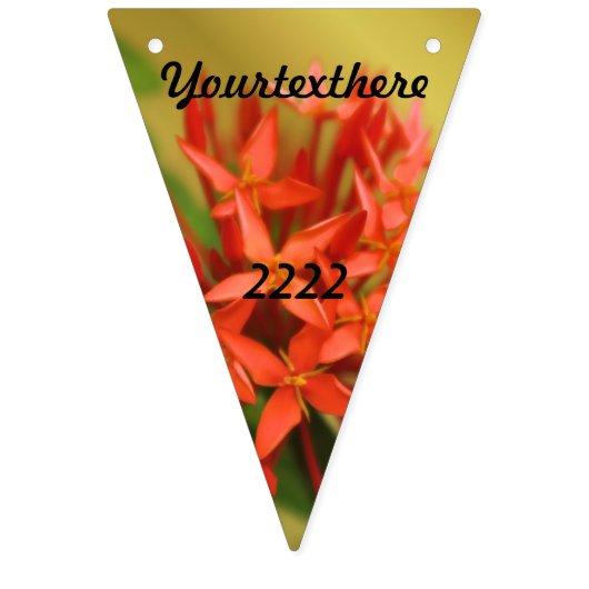 lentesbloemen, easter, spring, natuur, sinaasappel vlaggetjes (Derde vlag)