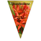 lentesbloemen, easter, spring, natuur, sinaasappel vlaggetjes (Tweede vlag)