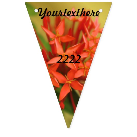 lentesbloemen, easter, spring, natuur, sinaasappel vlaggetjes (Tweede vlag)