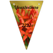 lentesbloemen, easter, spring, natuur, sinaasappel vlaggetjes (Eerste vlag)