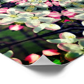  lentesbloesem Abstracte kunst Poster (Hoek)