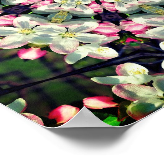  lentesbloesem Abstracte kunst Poster (Hoek)