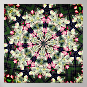 lentesbloesem Abstracte kunst Poster