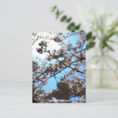 Lenteseizoen Briefkaart (Staand voorkant)