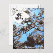 Lenteseizoen Briefkaart (Voorkant / Achterkant)