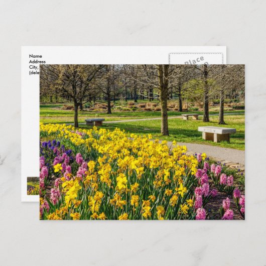 Lenteseizoen Ventilator Briefkaart (Voorkant / Achterkant)