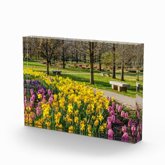 Lenteseizoen Vloertuin Fotoblokken (Rechts)