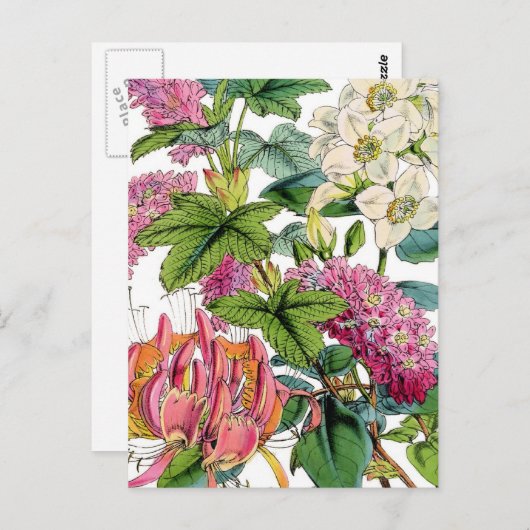 lentesFlorals Briefkaart (Voorkant / Achterkant)