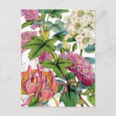 lentesFlorals Briefkaart (Voorkant)