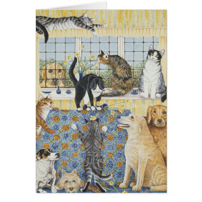 lenteskoorts (Voorkant)