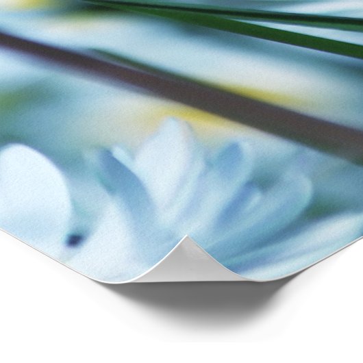 lentesmaisbloem poster (Hoek)