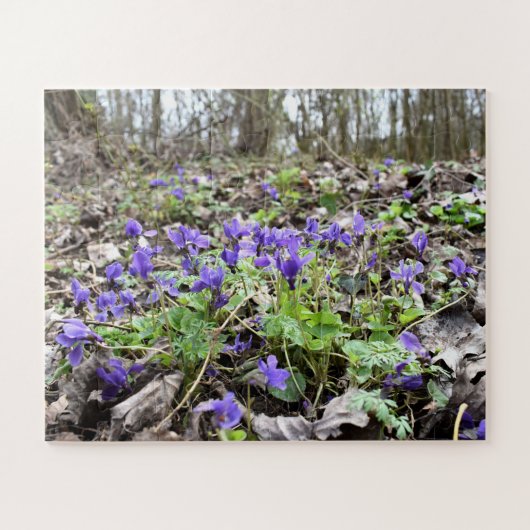 Lentesontzoening, bosbloemen, marinevisten legpuzzel (Horizontaal)