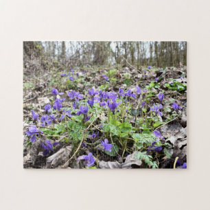 Lentesontzoening, bosbloemen, marinevisten legpuzzel