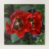 Lentesontzoening, Tulpen Legpuzzel (Horizontaal)
