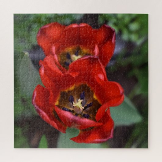 Lentesontzoening, Tulpen Legpuzzel (Verticaal)