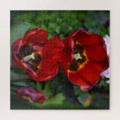 Lentesontzoening, Tulpen Legpuzzel (Horizontaal)