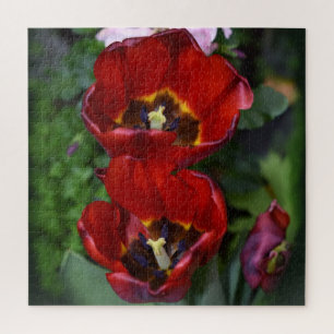 Lentesontzoening, Tulpen Legpuzzel