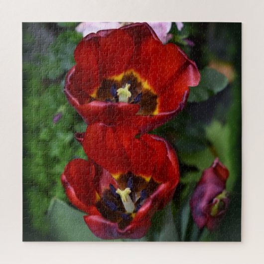 Lentesontzoening, Tulpen Legpuzzel (Verticaal)