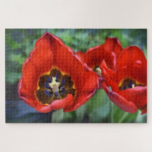 Lentesontzoening, Tulpen Legpuzzel (Horizontaal)