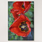 Lentesontzoening, Tulpen Legpuzzel (Verticaal)
