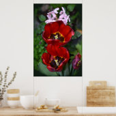 Lentesontzoening, Tulpen Poster (Keuken)