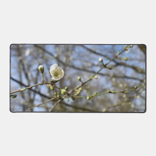 Lentesontzoening, wilde kersenblozenkaart bureaumat (Voorkant)