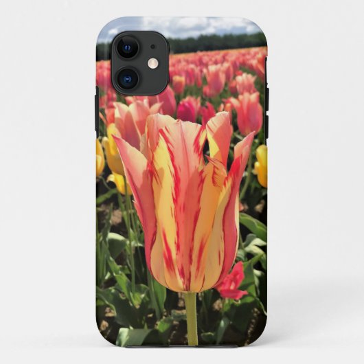 lentetelage, Oregon Case-Mate iPhone Case (Achterkant)