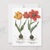 lentetelbloemen van Basilius Besler (Voorkant)