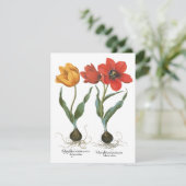 lentetelbloemen van Basilius Besler (Staand voorkant)