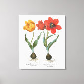 lentetelbloemen van Basilius Besler Canvas Afdruk (Voorkant)
