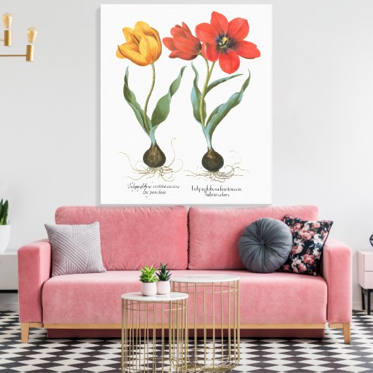 lentetelbloemen van Basilius Besler Canvas Afdruk (Insitu (Woonkamer))