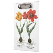  lentetelbloemen van Basilius Besler Klembord (Links)