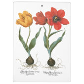  lentetelbloemen van Basilius Besler Klembord (Achterkant)