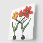  lentetelbloemen van Basilius Besler Vierkante Klok (Hoek)