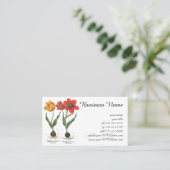 lentetelbloemen van Basilius Besler Visitekaartje (Staand voorkant)