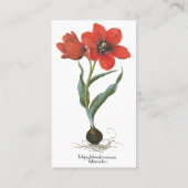 lentetelbloemen van Basilius Besler Visitekaartje (Achterkant)