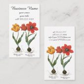  lentetelbloemen van Basilius Besler Visitekaartje (Voorkant / Achterkant)