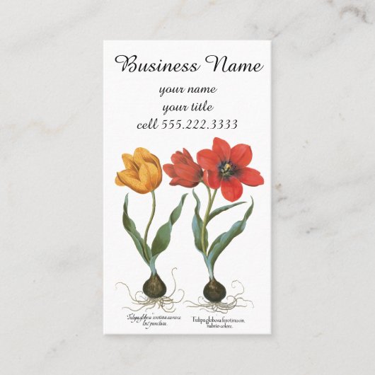  lentetelbloemen van Basilius Besler Visitekaartje (Voorkant)
