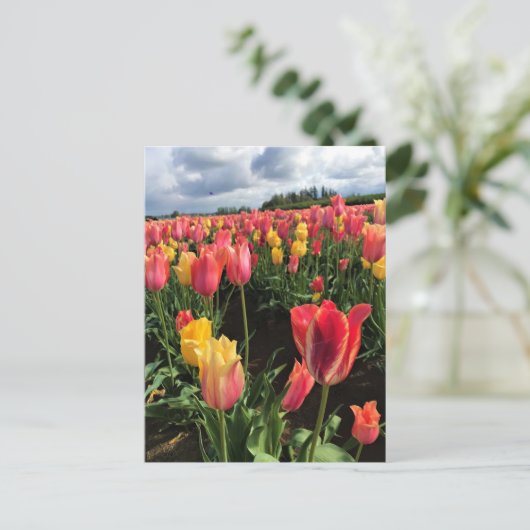  lentetelpen in een veld, Oregon Briefkaart (Staand voorkant)