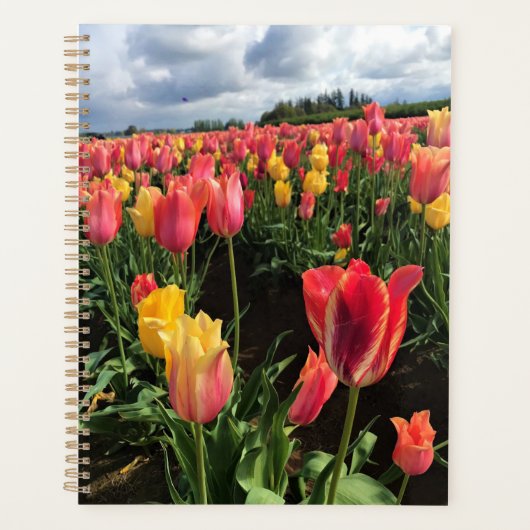lentetelpen in een veld, Oregon Planner (Voorkant)