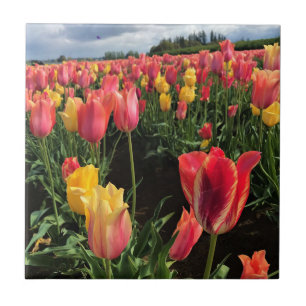 lentetelpen in een veld, Oregon Tegeltje