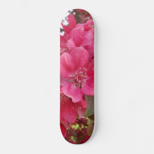 Lentetempelskateboard Skateboard (Voorkant)