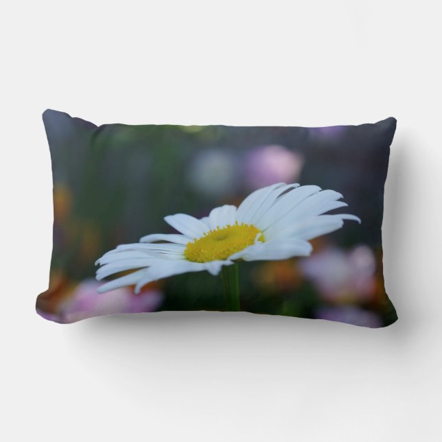 Lenteters Kussen (Voorkant)