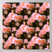 Lenteters.... Poster (Voorkant)