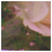 Lenteters.... Stof (Close Up)